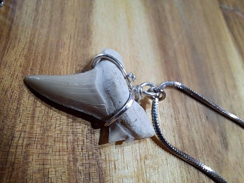 Haifischzahn Halskette Naturschmuck, Nachhaltig & Handgemacht, Herren, Männer, Kette + Anhänger; Echtsilber Silber Versteinert Fossil Haifischzahn Halskette Naturschmuck, Nachhaltig & Handgemacht, Herren, Männer, Kette + Anhänger; Echtsilber Silber Versteinert Fossil von GravesArts