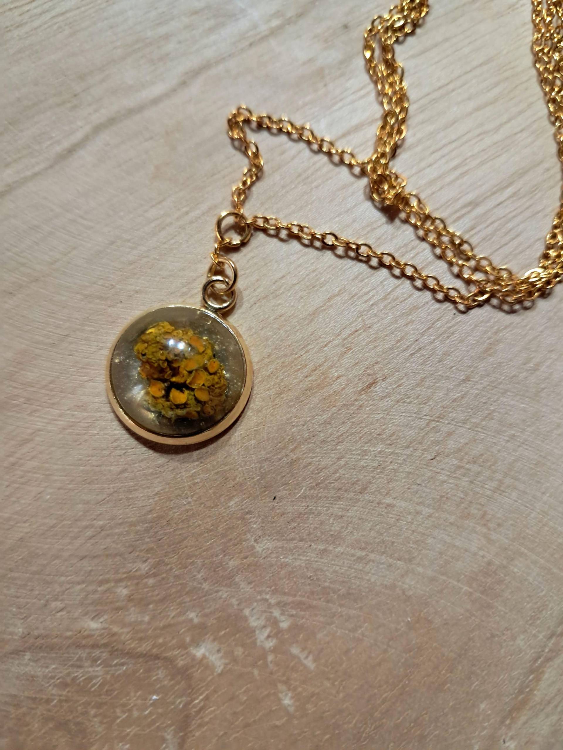 Pilz Halskette Naturschmuck, Handgemacht, Kette & Anhänger; Natur Naturmaterial, Geschenkidee Naturfreund Wald Outdoor, Gelb Gold von GravesArts