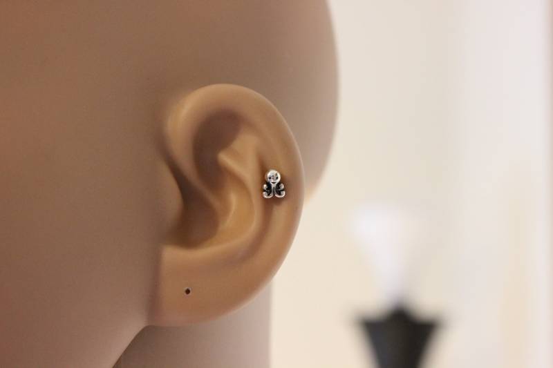 Oktopus Knorpel Ohrringe, Ohrstecker, Nasenstecker, Niedliche Nasenringe, Tragus Silber Teeny Tiny Stud, Meerestier von GreatJewelry4All