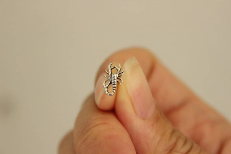 sterling Silber Skorpion Knorpel Ohrring, Winzige Gestüt, Insekt, Tragus Winzigen Nasenstecker, Nasenring von GreatJewelry4All