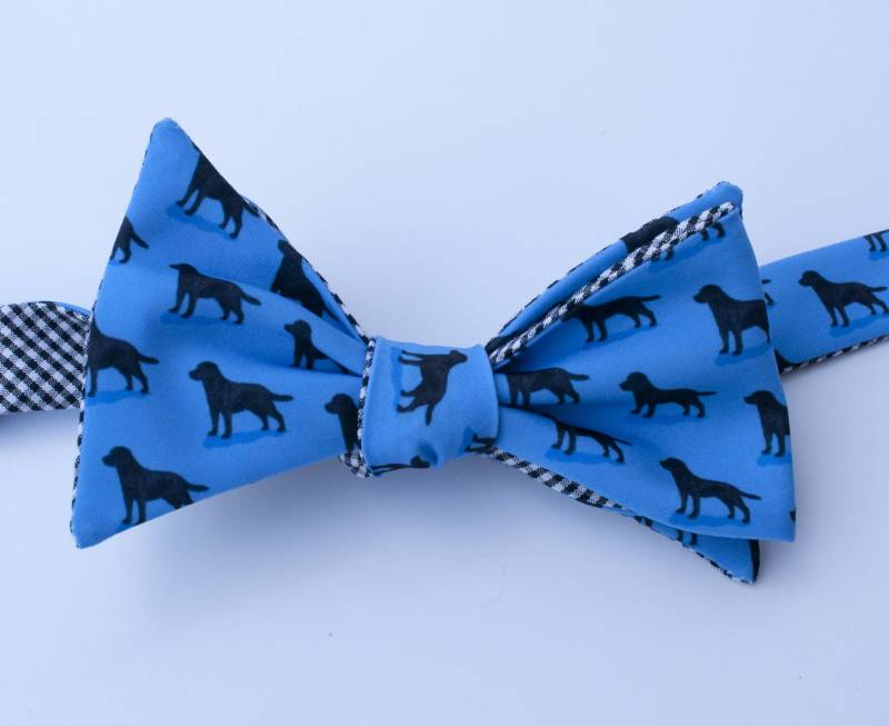 Labrador Retriever Fliege Blau Oder Grün von GreatKnotsDesigns