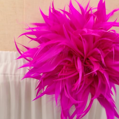 GreatRise Elegant Feder Brosche Natürliche Feder Brosche Flauschige Feder Ansteckbrosche Vintage Damen Boutonniere für Kleid Kleidung Hut Dekorative Pin Bekleidungs Party Schmuck Rosarot von GreatRise