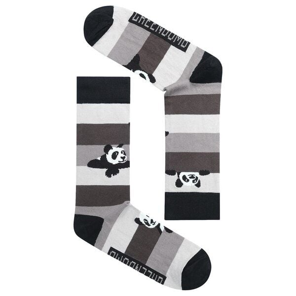 GREENBOMB Socken Animal Panda Stripes Mix von GreenBomb
