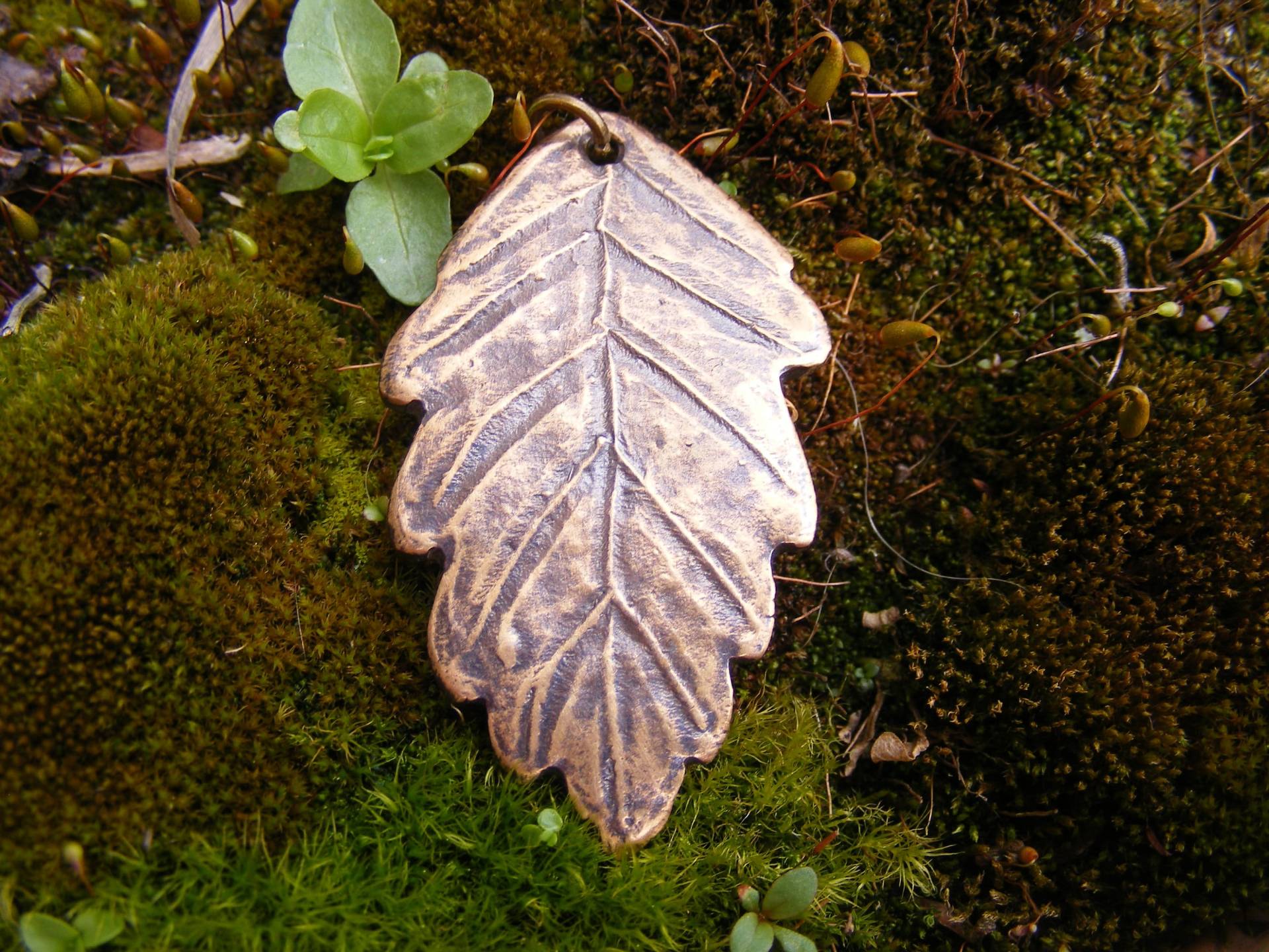 Englisch Sherwood Forest Oak Blatt Bronze Anhänger Englisch Sherwood Forest Oak Blatt Bronze Anhänger von GreenManJewellery