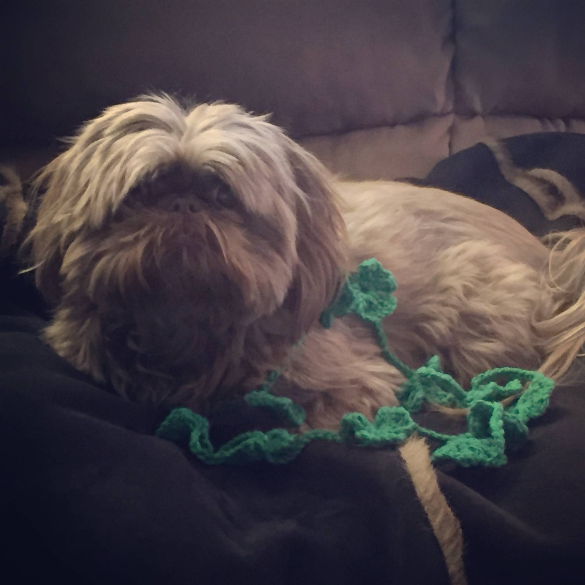 st. Patricks Day Kleeblatt Lariat Schal von GreenOwlCrochet