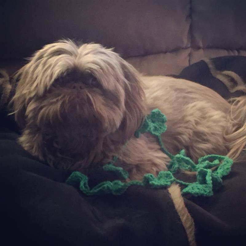 st. Patricks Day Kleeblatt Lariat Schal st. Patricks Day Kleeblatt Lariat Schal von GreenOwlCrochet