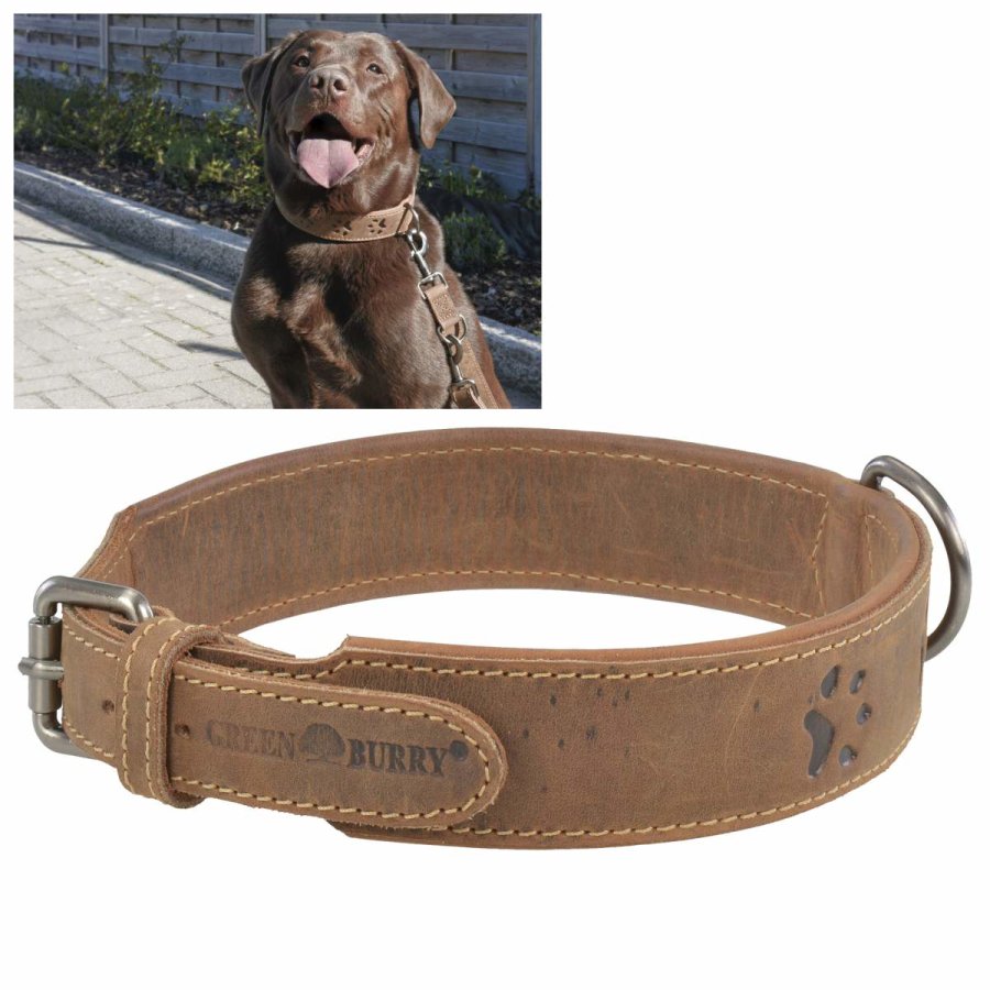 Greenburry Hundehalsband Leder Vintage antik braun 46-53cm von Greenburry