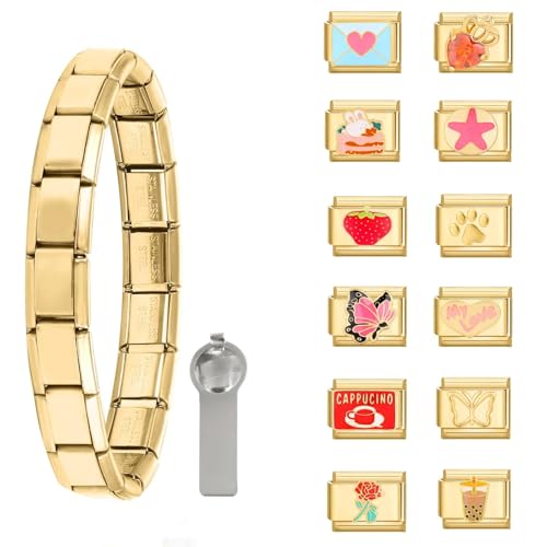 Greenyre 14PCS Italian charm bracelet set gold Italian Charms Armband mit Öffnungswerkzeugen 9 mm Abnehmbarer Modul Klassischer Vintage Italian Style Charms für Damen von Greenyre
