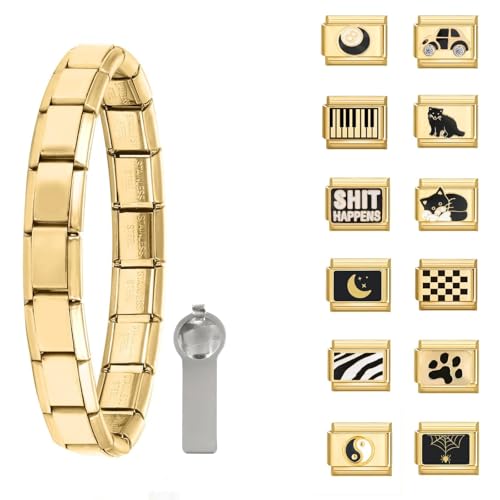 Greenyre 14PCS Italian charm bracelet set gold Italian Charms Armband mit Öffnungswerkzeugen 9 mm Abnehmbarer Modul Klassischer Vintage Italian Style Charms für Damen von Greenyre
