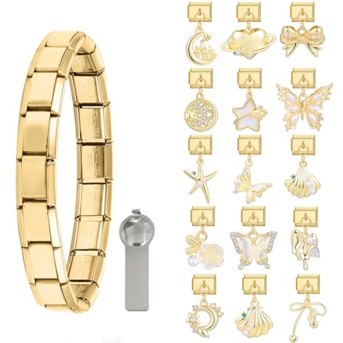 Greenyre 17PCS Italian charm bracelet set gold Italian Charms Armband Anhänger mit Öffnungswerkzeugen 9 mm Abnehmbarer Modul Klassischer Vintage Italian Style Charms für Damen von Greenyre