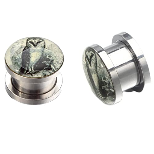 Grewod Ohrring Tunnel, Edelstahl Silber Epoxidharz mit Eule Damen Herren Flesh Tunnel Ohr Plug Ohr Expander Piercing Schmuck 20MM, 2 Stk Grewod Ohrring Tunnel, Edelstahl Silber Epoxidharz mit Eule Damen Herren Flesh Tunnel Ohr Plug Ohr Expander Piercing Schmuck 20MM, 2 Stk von Grewod