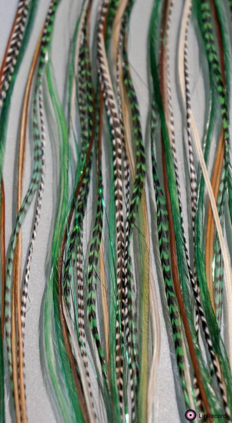 Easyin + Gleam Shine Grün von GrizzlyExtensions