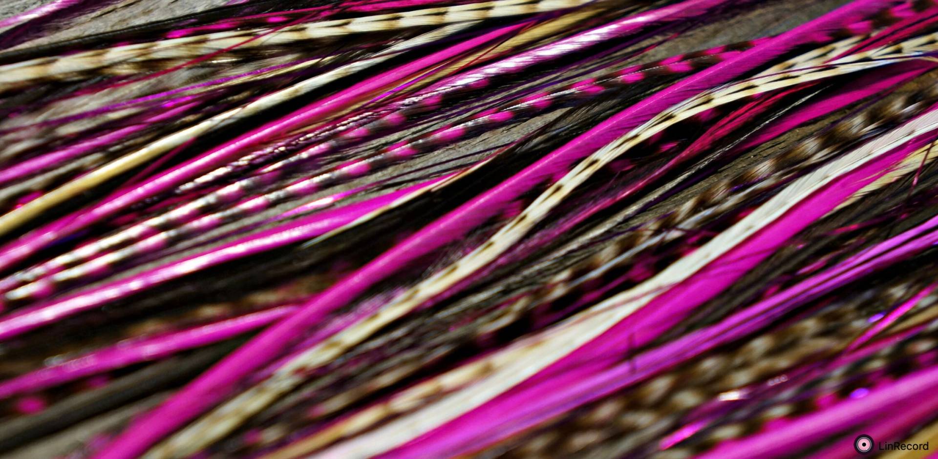 Easyin + Gleam Shine Pink von GrizzlyExtensions