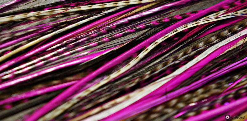 Easyin + Gleam Shine Pink von GrizzlyExtensions