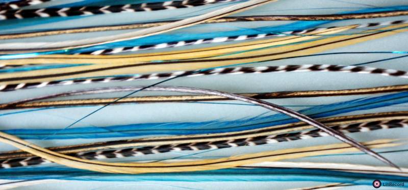 Easyin + Gleam Shine Türkis von GrizzlyExtensions