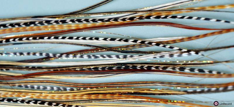 Easyin Natur + Gleam Shine Holo Gold von GrizzlyExtensions