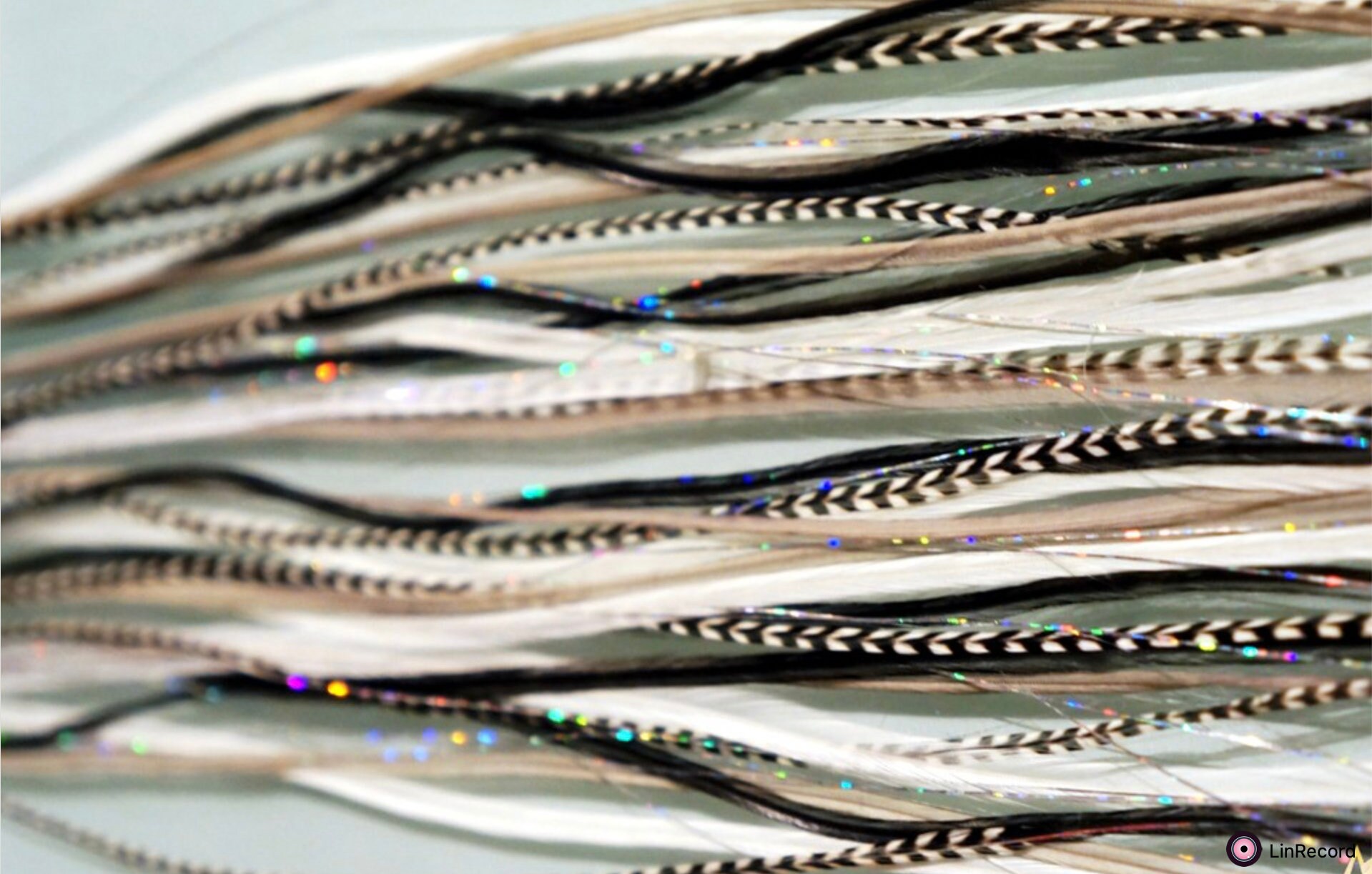 Easyin Schwarz & Weiß Holo Silber von GrizzlyExtensions