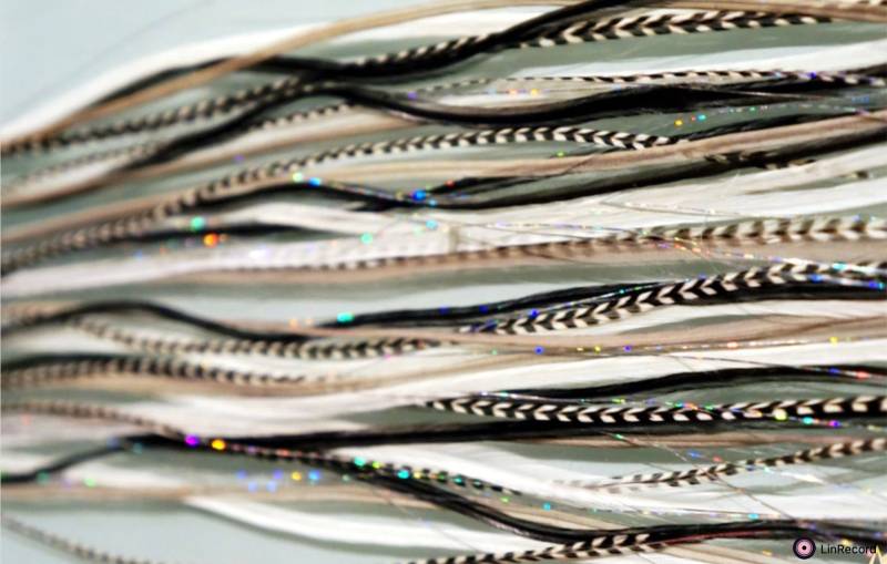 Easyin Schwarz & Weiß Holo Silber von GrizzlyExtensions