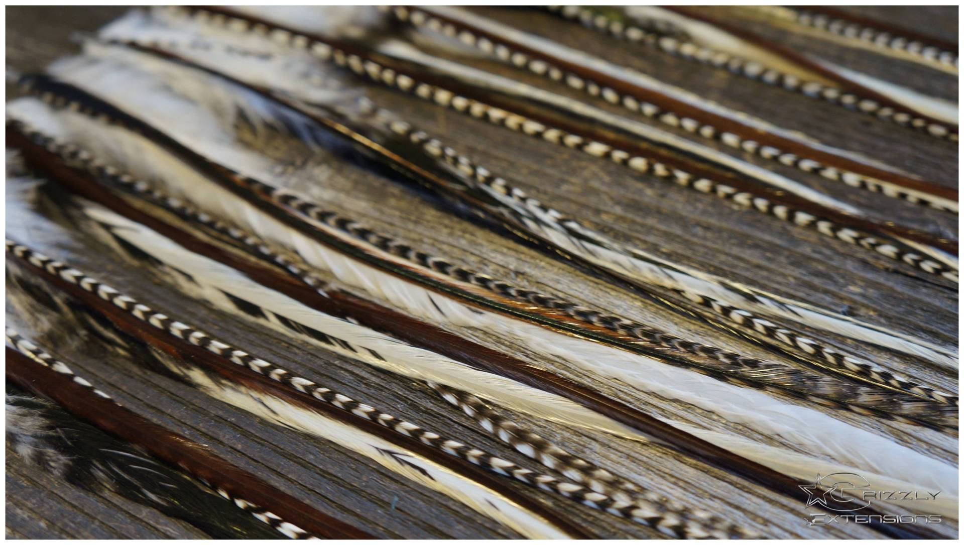 Feder Extensions #black & White# Mit Breiten Federn von GrizzlyExtensions