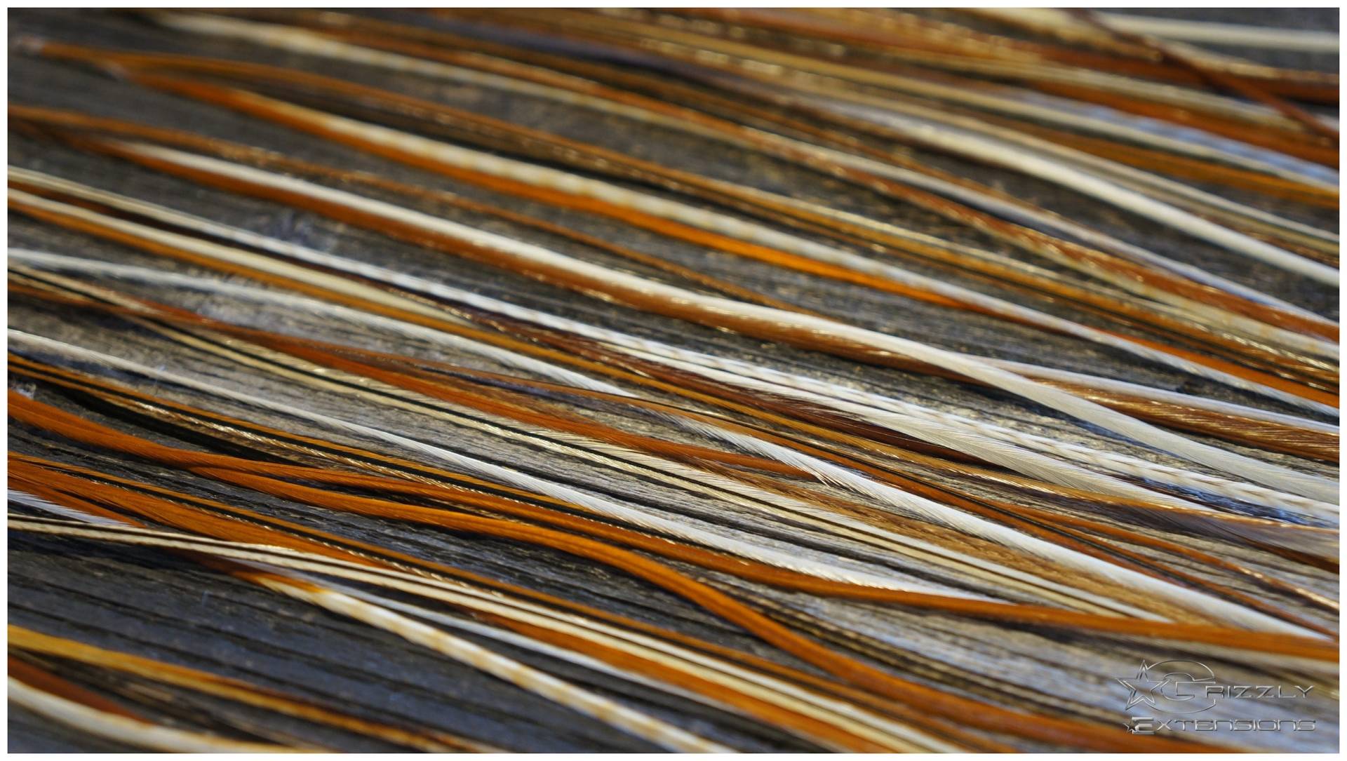 Feder Extensions #browny# von GrizzlyExtensions