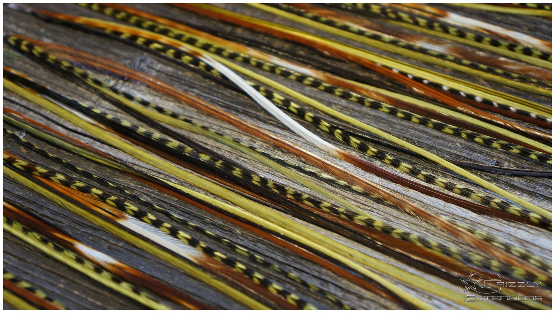 Feder Extensions #forest# von GrizzlyExtensions