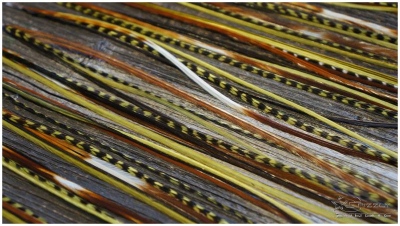 Feder Extensions #forest# von GrizzlyExtensions