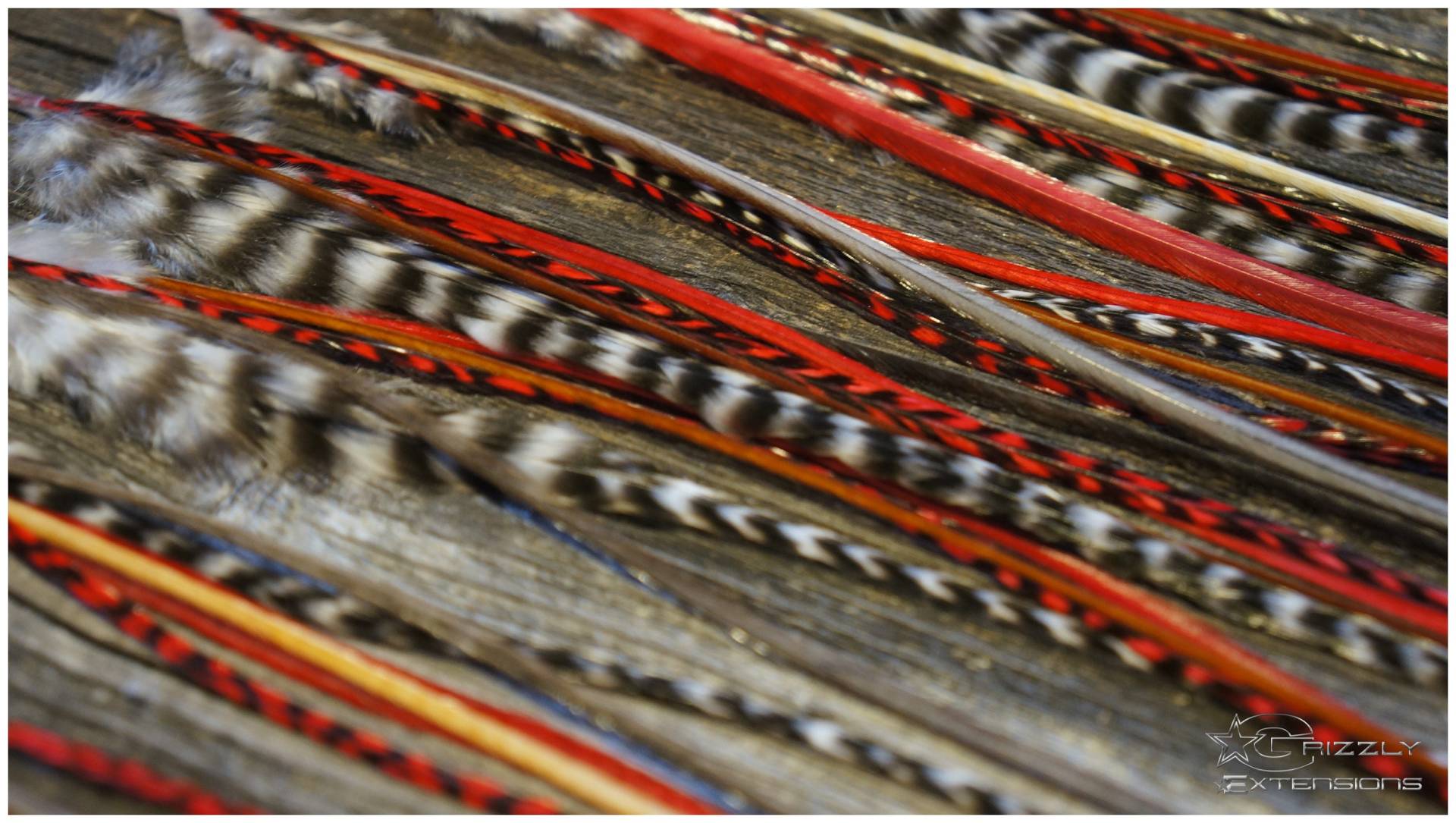 Feder Extensions #love# von GrizzlyExtensions