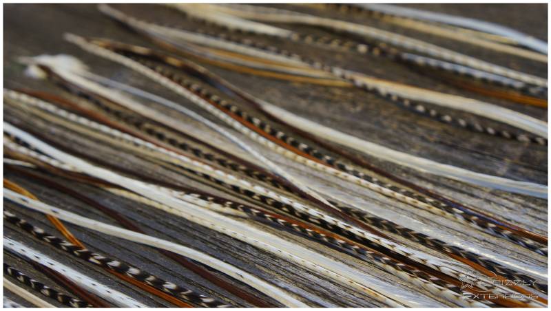 Feder Extensions #nature One# von GrizzlyExtensions