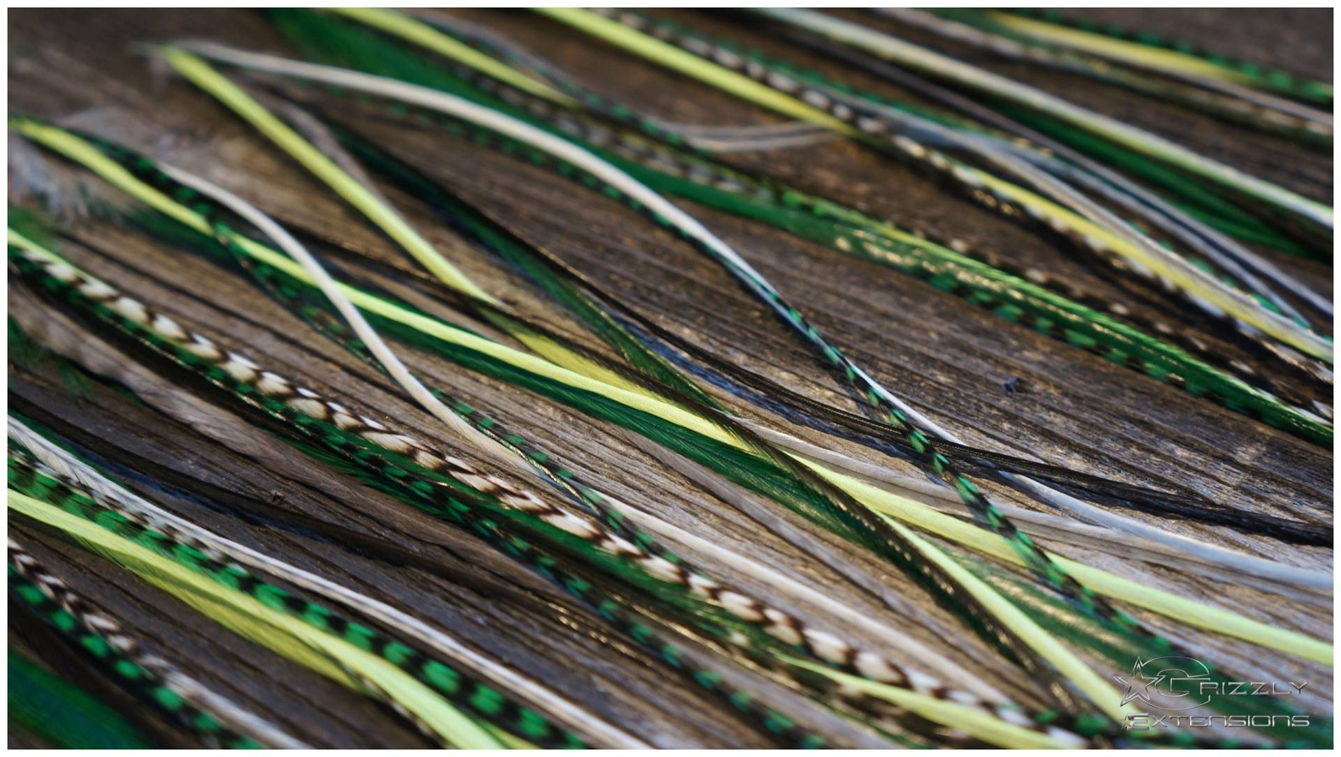 Feder Extensions #neon Green# von GrizzlyExtensions