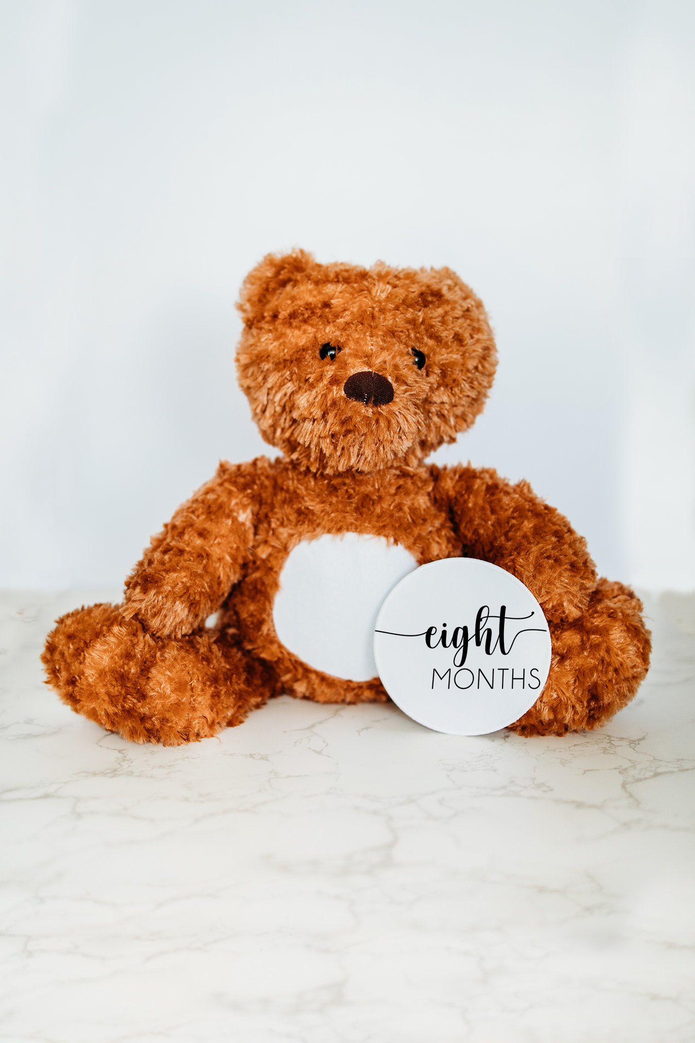 Bär Neutral Monatlicher Meilenstein Kuscheltier, Baby Meilenstein, Personalisiertes Geburtsanzeige, Babys Erstes Kuscheltier von GrowWithMeStuffy