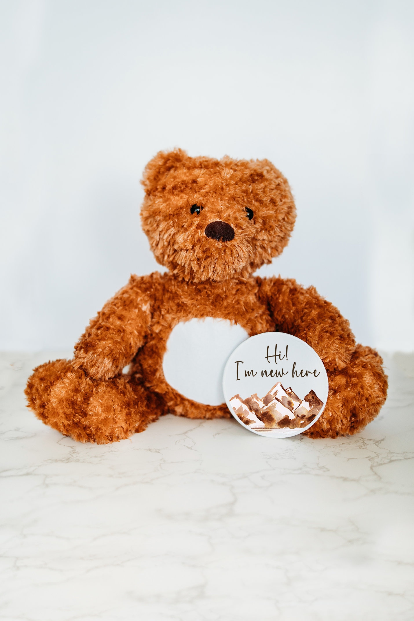 Bear Mountain Monatlicher Meilenstein Kuscheltier, Baby Meilenstein, Personalisiertes Geburtsanzeige, Babys Erstes Kuscheltier von GrowWithMeStuffy