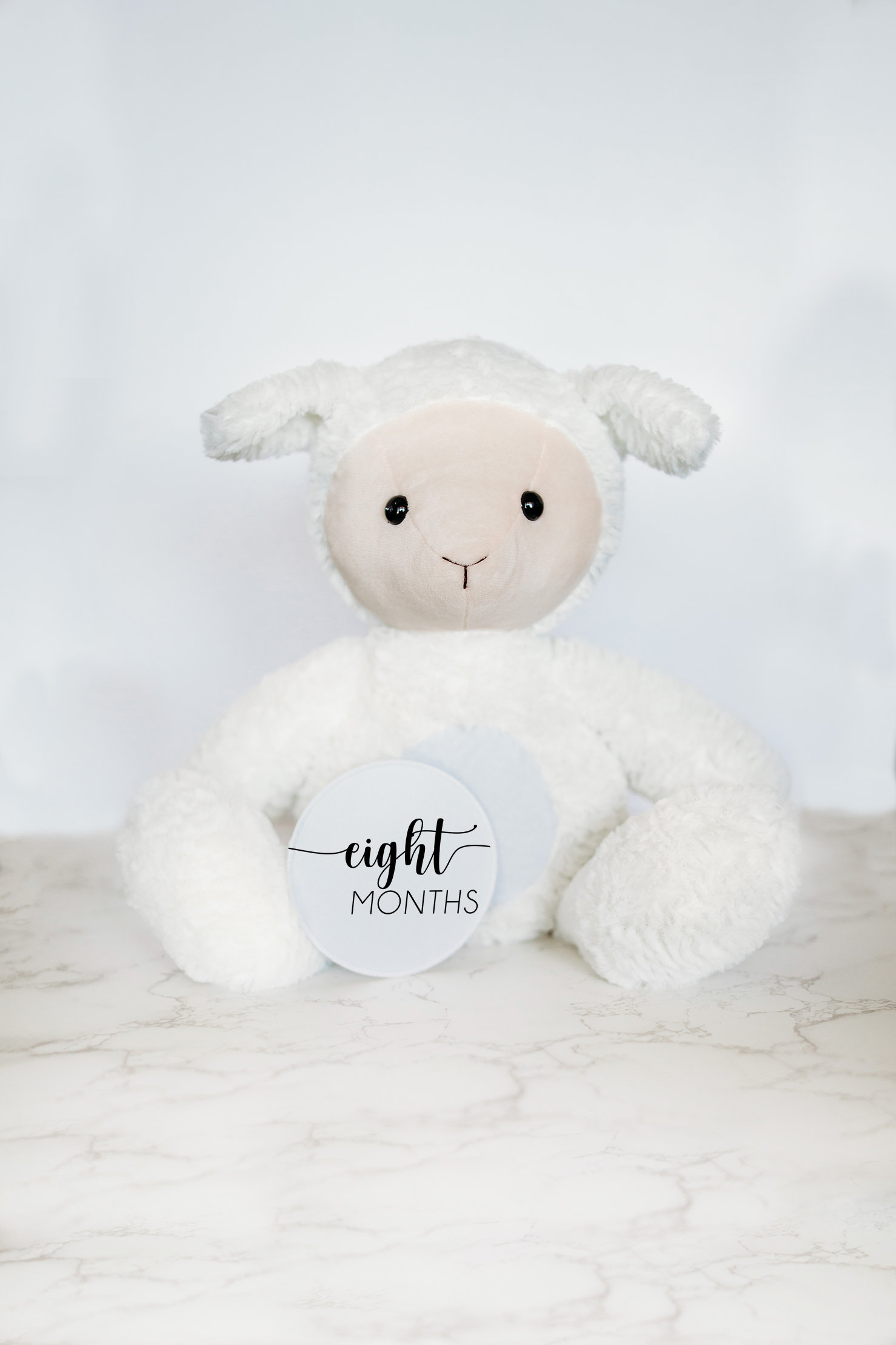Baby Lamm Kuscheltier Meilenstein Zeichen, Personalisiertes Kuscheltier, Monatliche Meilensteine, Andenken Neugeborenen Geschenk von GrowWithMeStuffy