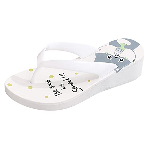 Flip Flops Damen, Sandalen Damen, Komfort Geteilten Sandaletten Atmungsaktiv Leichtgewichts Strandsandalen Freizeit Fashion Plateausandalen Offene Zehe Tanga Sandalen von Gsheocm