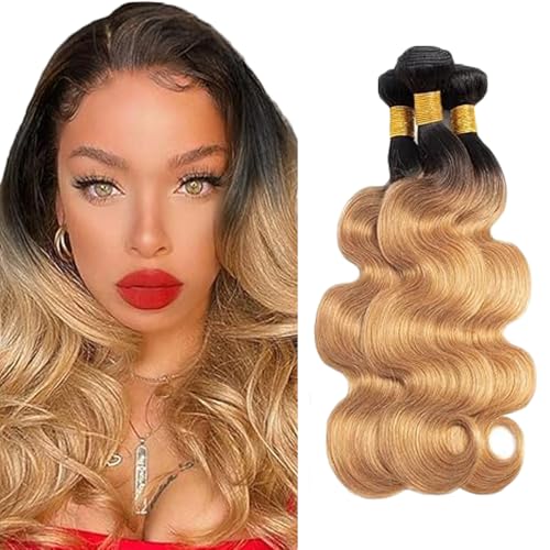 Gsoroel Body Wave Bundles Human Hair Extension 100% Unprocessed Menschliches Haar 1b/27 Ombre Brown Echthaar Perücke Brazilian Virgin Hair No Tangle For Women 3 Bundles Total 300g 12 14 16 Zoll Gsoroel Body Wave Bundles Human Hair Extension 100% Unprocessed Menschliches Haar 1b/27 Ombre Brown Echthaar Perücke Brazilian Virgin Hair No Tangle For Women 3 Bundles Total 300g 12 14 16 Zoll von Gsoroel