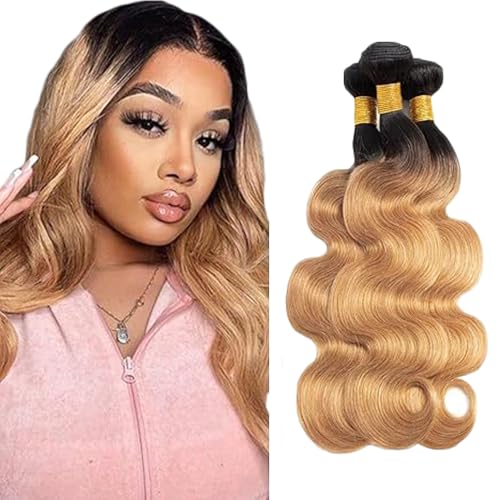 Gsoroel Body Wave Bundles Human Hair Extension 100% Unprocessed Menschliches Haar 1b/27 Ombre Brown Echthaar Perücke Brazilian Virgin Hair No Tangle For Women 3 Bundles Total 300g 14 16 18 Inch Gsoroel Body Wave Bundles Human Hair Extension 100% Unprocessed Menschliches Haar 1b/27 Ombre Brown Echthaar Perücke Brazilian Virgin Hair No Tangle For Women 3 Bundles Total 300g 14 16 18 Inch von Gsoroel