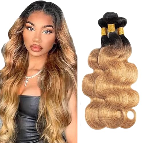 Gsoroel Body Wave Bundles Human Hair Extension 100% Unprocessed Menschliches Haar 1b/27 Ombre Brown Echthaar Perücke Brazilian Virgin Hair No Tangle For Women 3 Bundles Total 300g 24 26 28 Zoll Gsoroel Body Wave Bundles Human Hair Extension 100% Unprocessed Menschliches Haar 1b/27 Ombre Brown Echthaar Perücke Brazilian Virgin Hair No Tangle For Women 3 Bundles Total 300g 24 26 28 Zoll von Gsoroel