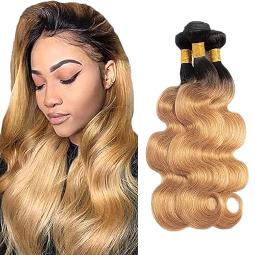 Gsoroel Body Wave Bundles Human Hair Extension 100% Unprocessed Menschliches Haar 1b/27 Ombre Brown Echthaar Perücke Brazilian Virgin Hair No Tangle For Women 3 Bundles Total 300g 26 28 30 Inch Gsoroel Body Wave Bundles Human Hair Extension 100% Unprocessed Menschliches Haar 1b/27 Ombre Brown Echthaar Perücke Brazilian Virgin Hair No Tangle For Women 3 Bundles Total 300g 26 28 30 Inch von Gsoroel