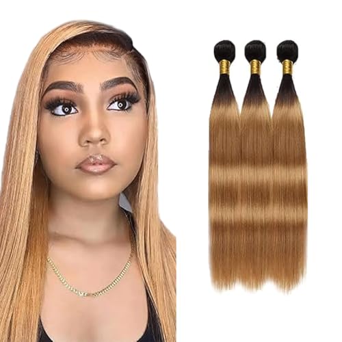 Gsoroel Straight Bundles Human Hair Extension 100% Unprocessed Menschliches Haar 1b/27 Ombre Brown Echthaar Perücke Brazilian Virgin Hair No Tangle For Women 3 Bundles Total 300g 16 18 20 Zoll von Gsoroel