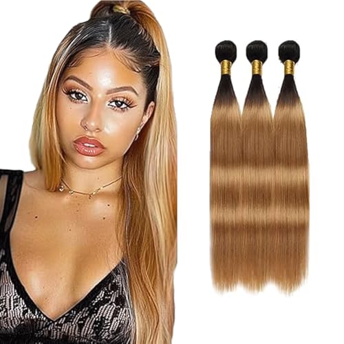 Gsoroel Straight Bundles Human Hair Extension 100% Unprocessed Menschliches Haar 1b/27 Ombre Brown Echthaar Perücke Brazilian Virgin Hair No Tangle For Women 3 Bundles Total 300g 18 20 22 Inch Gsoroel Straight Bundles Human Hair Extension 100% Unprocessed Menschliches Haar 1b/27 Ombre Brown Echthaar Perücke Brazilian Virgin Hair No Tangle For Women 3 Bundles Total 300g 18 20 22 Inch von Gsoroel