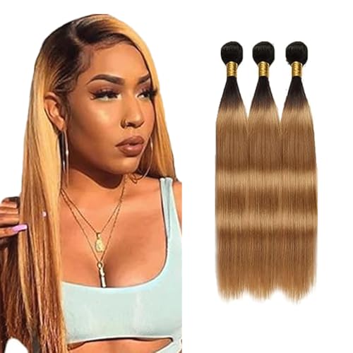 Gsoroel Straight Bundles Human Hair Extension 100% Unprocessed Menschliches Haar 1b/27 Ombre Brown Echthaar Perücke Brazilian Virgin Hair No Tangle For Women 3 Bundles Total 300g 22 24 26 Inch Gsoroel Straight Bundles Human Hair Extension 100% Unprocessed Menschliches Haar 1b/27 Ombre Brown Echthaar Perücke Brazilian Virgin Hair No Tangle For Women 3 Bundles Total 300g 22 24 26 Inch von Gsoroel