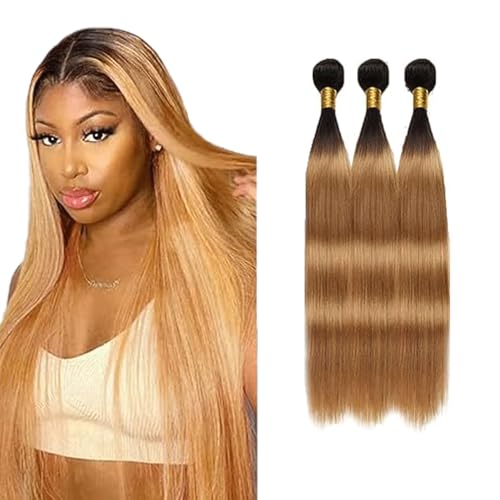 Gsoroel Straight Bundles Human Hair Extension 100% Unprocessed Menschliches Haar 1b/27 Ombre Brown Echthaar Perücke Brazilian Virgin Hair No Tangle For Women 3 Bundles Total 300g 24 26 28 Zoll von Gsoroel