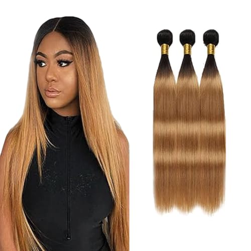 Gsoroel Straight Bundles Human Hair Extension 100% Unprocessed Menschliches Haar 1b/27 Ombre Brown Echthaar Perücke Brazilian Virgin Hair No Tangle For Women 3 Bundles Total 300g 26 28 30 Inch Gsoroel Straight Bundles Human Hair Extension 100% Unprocessed Menschliches Haar 1b/27 Ombre Brown Echthaar Perücke Brazilian Virgin Hair No Tangle For Women 3 Bundles Total 300g 26 28 30 Inch von Gsoroel