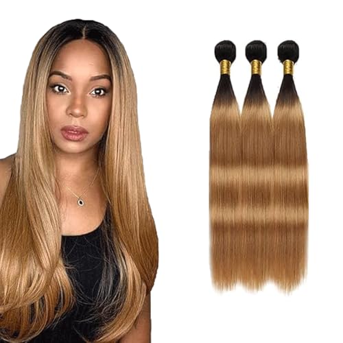 Gsoroel Straight Bundles Human Hair Extension 100% Unprocessed Menschliches Haar 1b/27 Ombre Brown Echthaar Perücke Brazilian Virgin Hair No Tangle For Women 3 Bundles Total 300g 30 32 34 Inch Gsoroel Straight Bundles Human Hair Extension 100% Unprocessed Menschliches Haar 1b/27 Ombre Brown Echthaar Perücke Brazilian Virgin Hair No Tangle For Women 3 Bundles Total 300g 30 32 34 Inch von Gsoroel