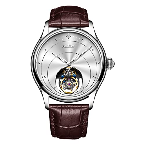 Guanqin Aesop Analoge Mechanische Handaufzug Armbanduhr Herren Edelstahl und Leder Saphir Männlich Skelett Echte Tourbillon Uhr Wasserdicht Leuchtend, Silber, Weiß, Braun, M, 42.5mm, Armband von Guanqin