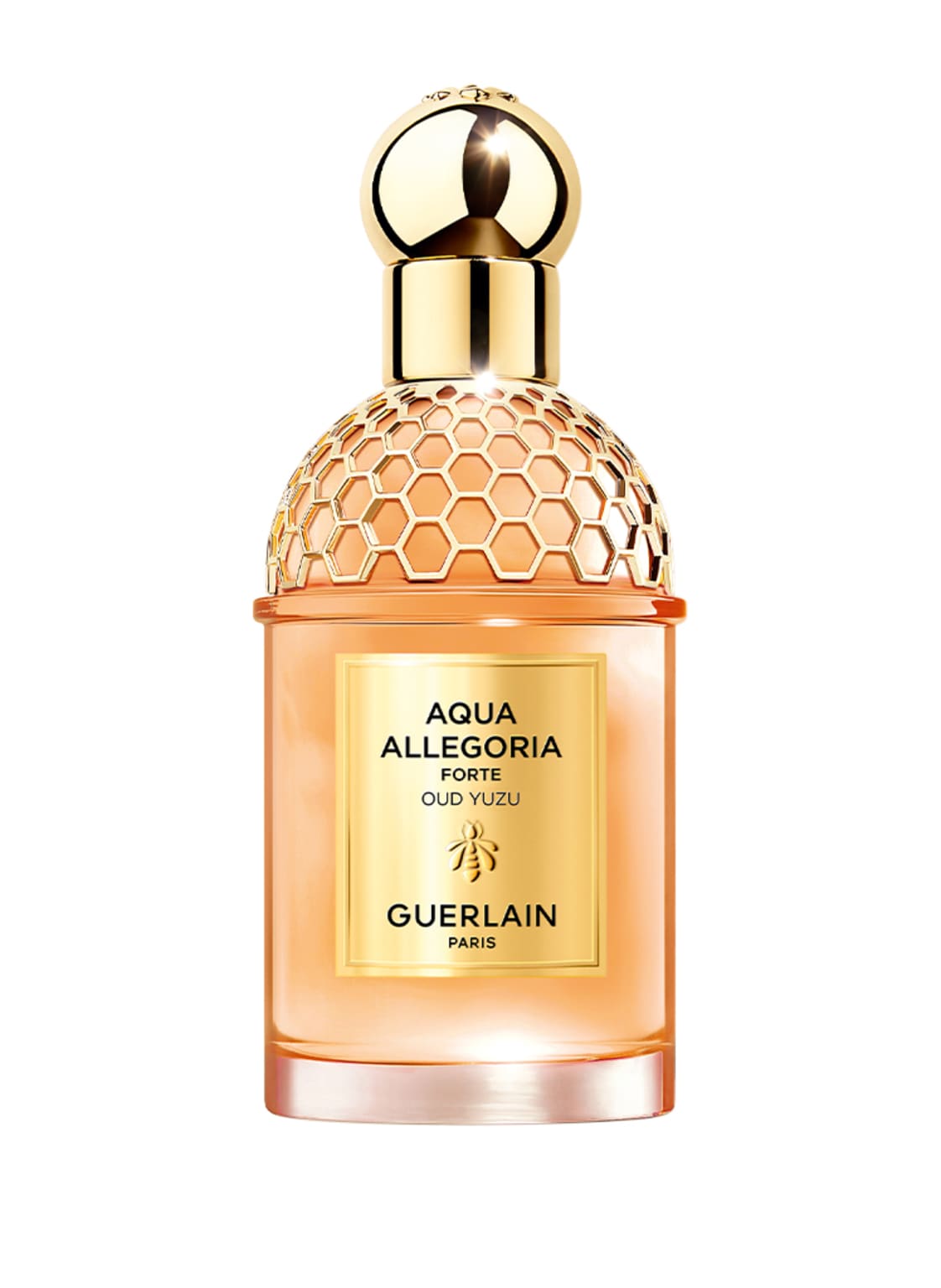 Guerlain Aqua Allegoria Forte Oud Yuzu Eau de Parfum 75 ml Guerlain Aqua Allegoria Forte Oud Yuzu Eau de Parfum 75 ml von Guerlain
