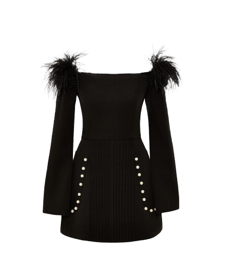 Buttoned Dress with Feathers von Guranda
