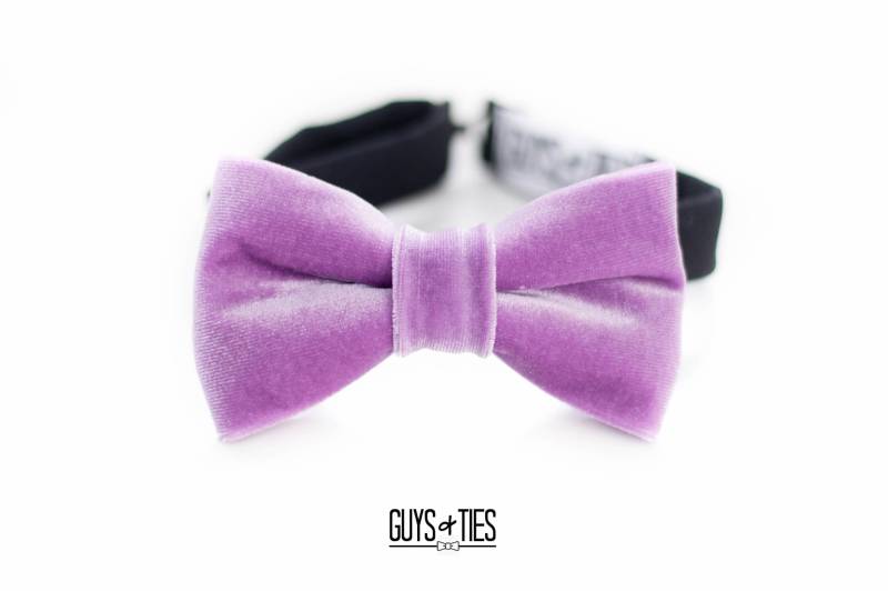 Fliege Im Frühling, Fliege von GuysAndTies