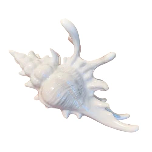 Muschel Haarspangen Acryl Haarklammer Süße Haarclips Für Damen, Rutschfeste Meeres Haarschmuck Für Alltag Dusche Sommer Hawaiianisch Schwimmen Hochzeit 13 X 7,5 Cm von Gwtdtoad
