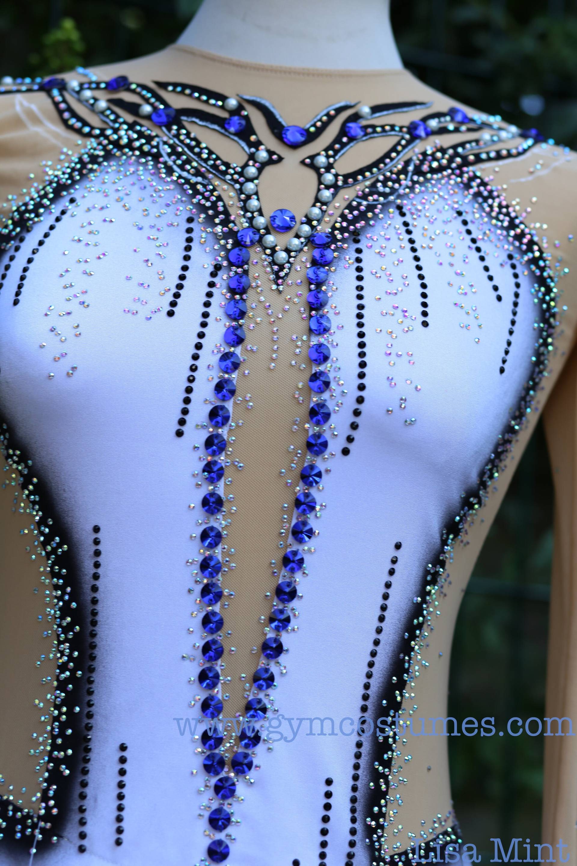 Extra 30 Large Crystals On The Dress | Only When Buying A Dress. All Colors Extra 30 Large Crystals On The Dress | Only When Buying A Dress. All Colors von Gymcostumes