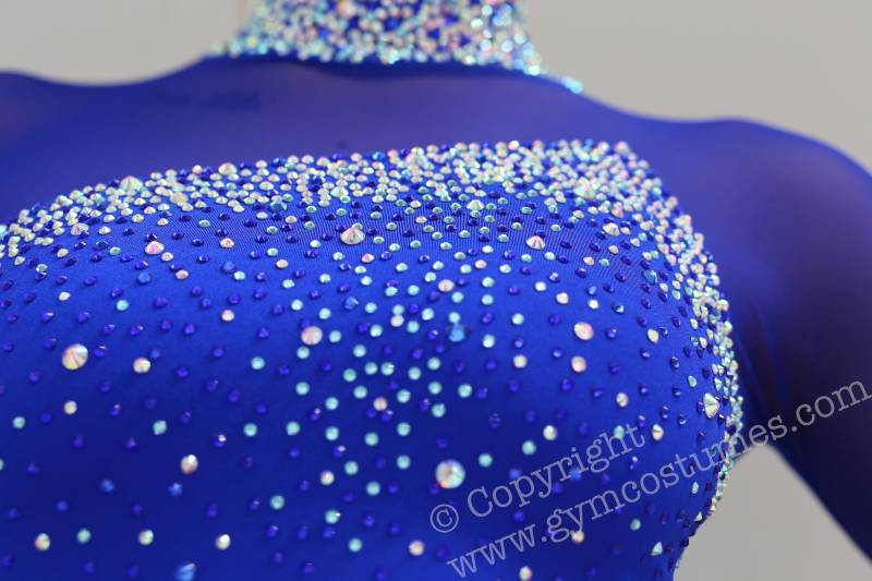 Meisterklasse Akrobatik Anzug , Voltigieranzug Voltigieren Luftakrobatik Eiskunstlaufanzug Akrobatikanzug Zirkusanzug Sportakrobatik Meisterklasse Akrobatik Anzug , Voltigieranzug Voltigieren Luftakrobatik Eiskunstlaufanzug Akrobatikanzug Zirkusanzug Sportakrobatik von Gymcostumes